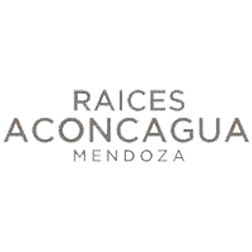 Raices aconcagua